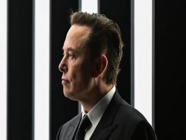 Leaked memos reveal Elon Musk ignored Twitter staff’s warning that scammers would abuse paid verification