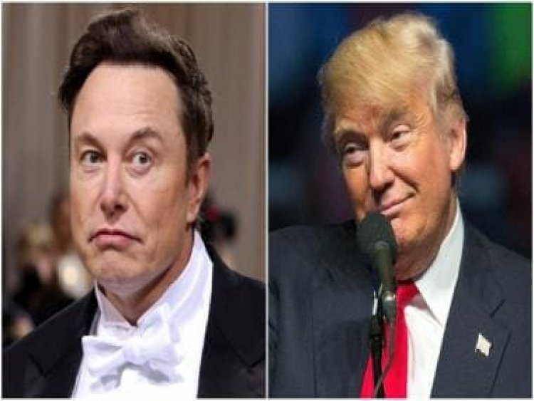 Donald Trump says he won’t return to Twitter after Elon Musk reinstates former US President’s account