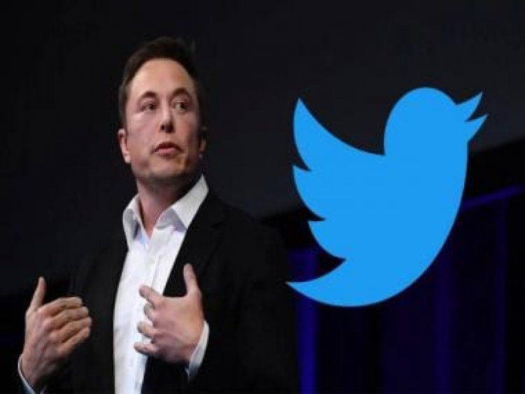 Twitter amnesty: Elon Musk proposes letting nearly everyone back on the platform whom Twitter had banned 