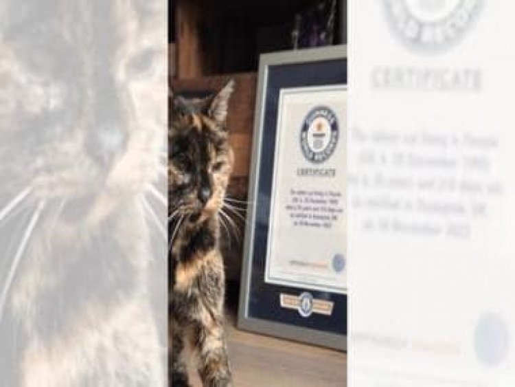 Guinness World Records declares 26-year-old Flossie as world's oldest cat; know more