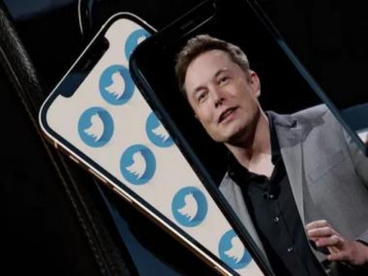 More new users signing up, hate speech and fake profiles going down on Twitter: Elon Musk shares stats