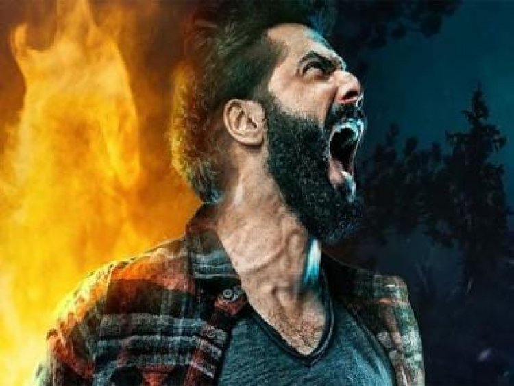 Varun Dhawan-starrer Bhediya's portrayal of man-vs-nature conflict is nuanced but not as brilliant as Kantara