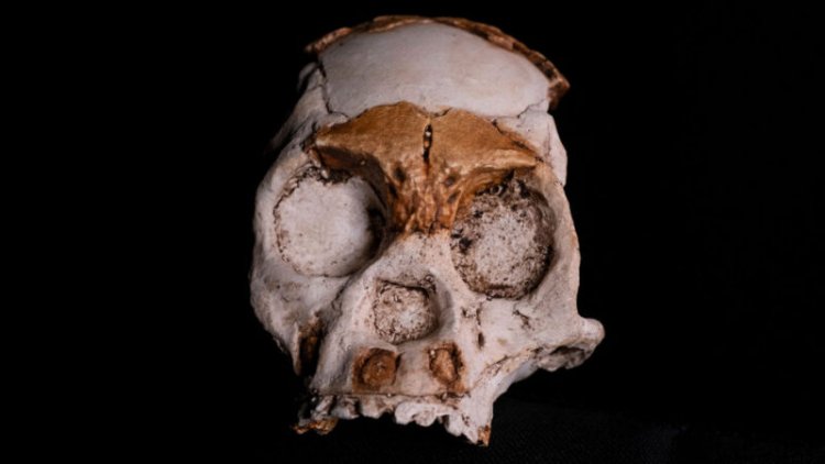 Homo naledi may have lit fires in underground caves at least 236,000 years ago