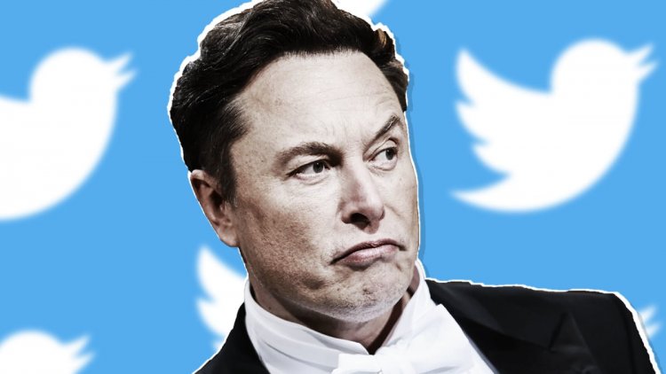 Elon Musk Reveals Twitter Actions on Hunter Biden 'Story'