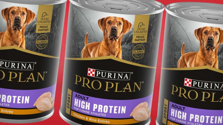 Purina Recalls Low Fat Wet Dog Food Due to Labeling Error