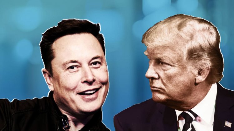 Elon Musk Scolds Donald Trump