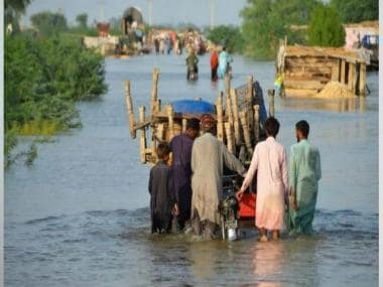 Pakistan floods: 8 million still stranded months after deluge, says UN