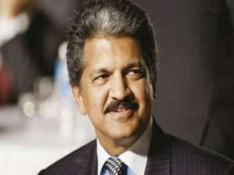 FIFA World Cup 2022: Anand Mahindra believes this football fan 'deserves some kind of trophy'; here's why