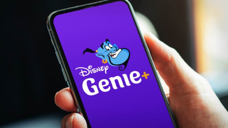 Disney Genie+ Fans will Love this