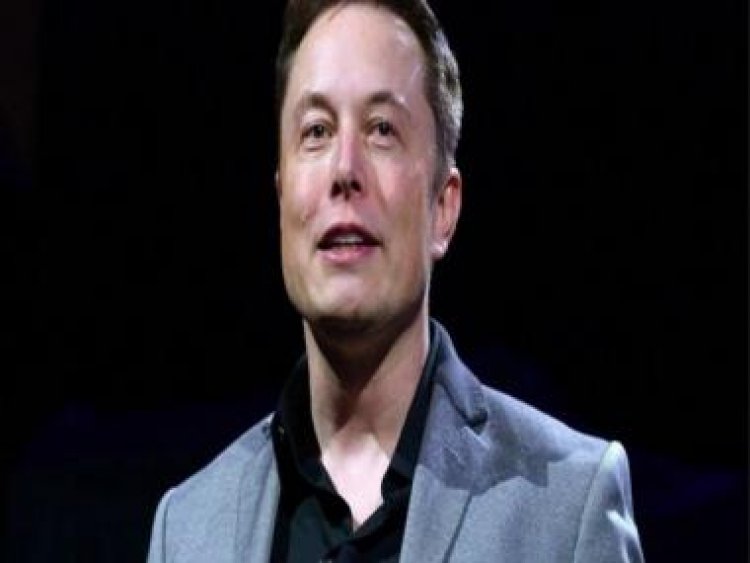 'Both a social media company and crime scene': Elon Musk's latest comments on Twitter spark row