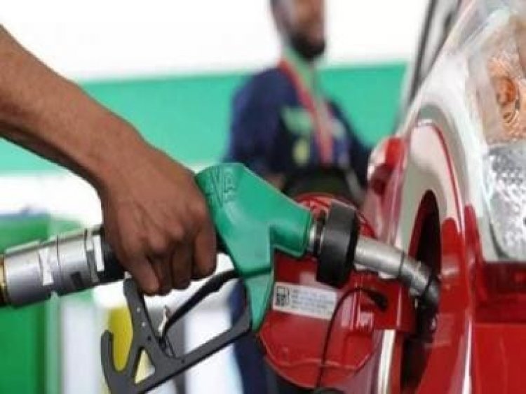Petrol Diesel Price Update: Have petrol, diesel prices changed? Know latest rates in your city