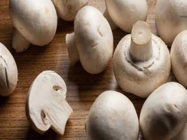 From mushrooms to oranges: Superfoods that help you get vitamin D in winters