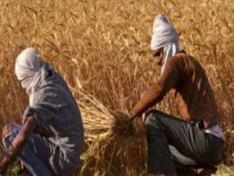 National Farmers’ Day 2022:  Quotes, wishes and messages to send on Kisan Diwas