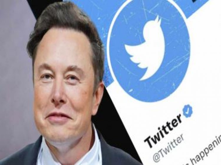 Only blue tick accounts will be able to vote on policy-related polls on Twitter, says Elon Musk