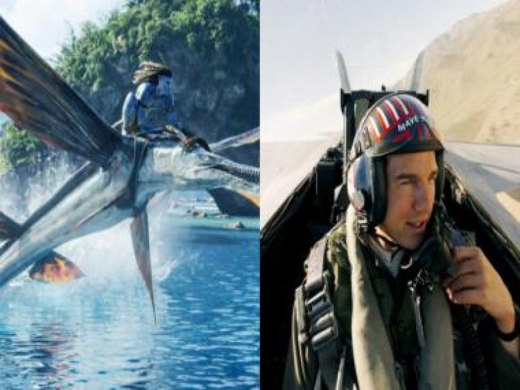 Avatar: The Way of Water set to crush Tom Cruise's Top Gun: Maverick to become 2022's highest grosser at the box office