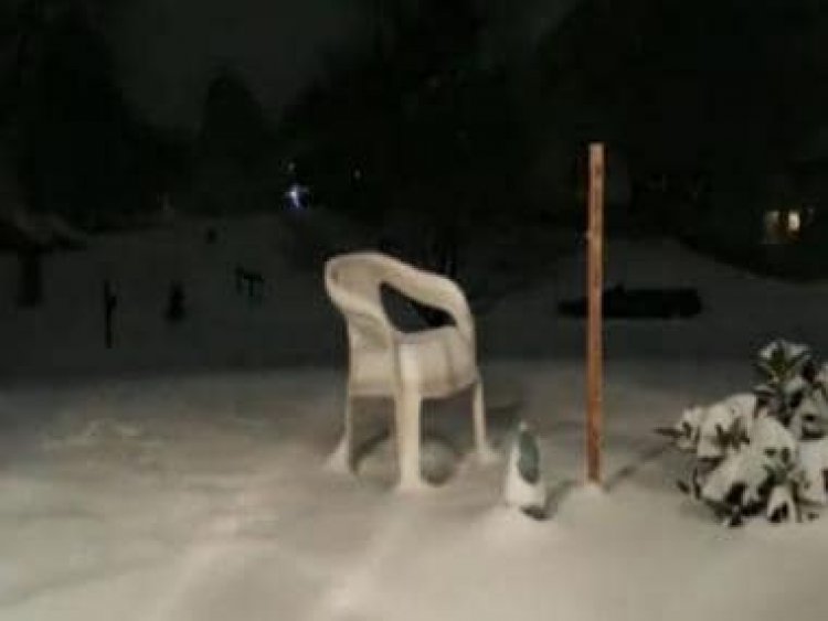 Timelapse video of shocking 'blizzard' from US goes viral; watch