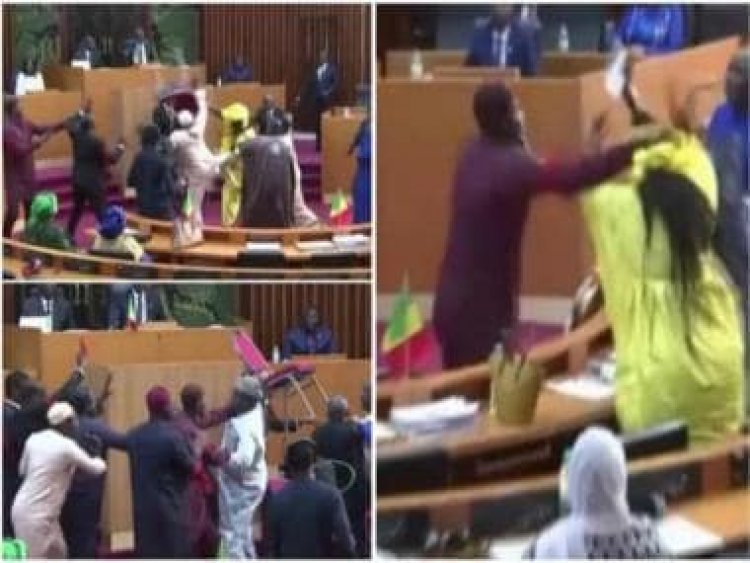 Watch: Two Senegal MPs slap female colleague in Parliament; jailed for six months