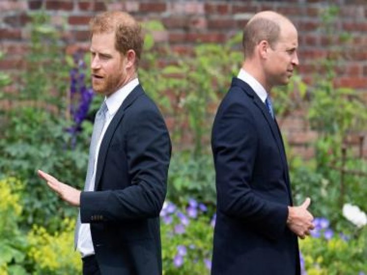 Explained | Harry &amp; Meghan: Why has Prince Harry named his book Spare and the meaning behind it