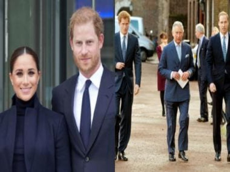 Netflix’s Harry and Meghan: Why King Charles needs both his sons William and Harry to be a successful monarch