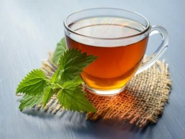From lowering anxiety to reducing inflammation: 6 benefits of herbal tea in winters