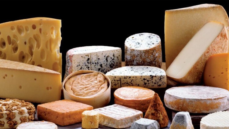 Meet some of the microbes that give cheeses flavor