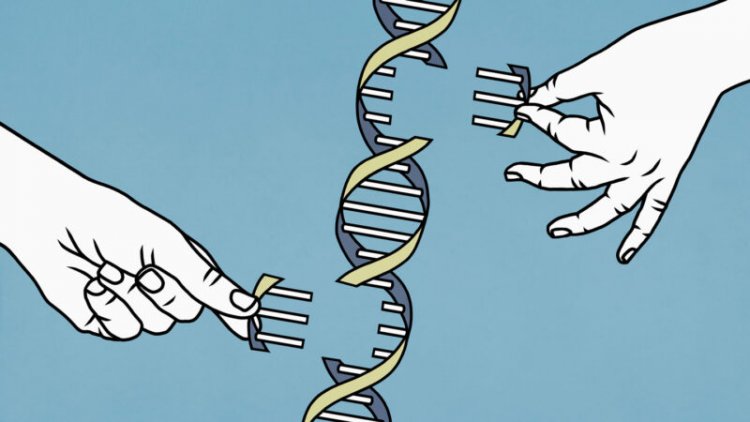 50 years ago, scientists sequenced a gene for the first time