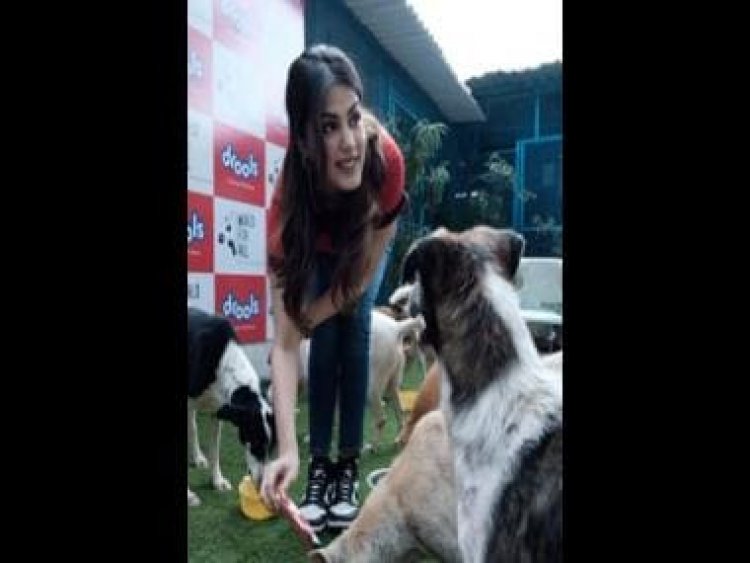 Rhea Chakraborty kickstarts 2023 on a kind note; donates 3 months' worth of pet food to community dogs