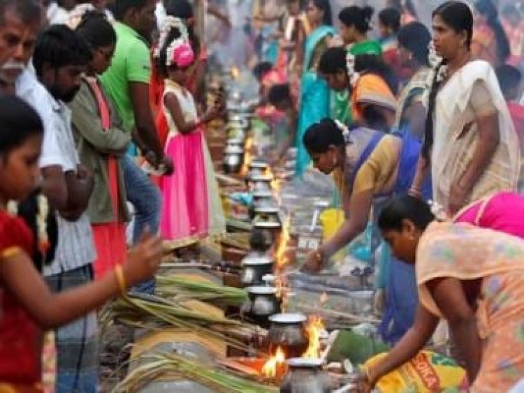 Pongal 2023: All you need to know about four-day harvest festival