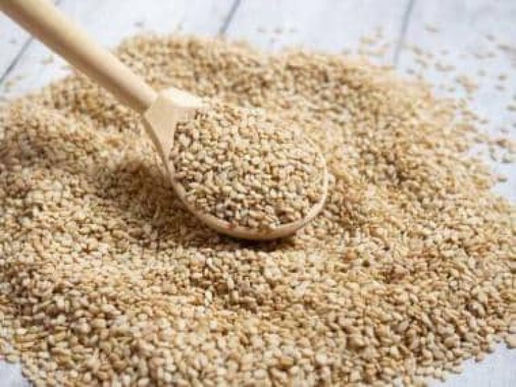 Makar Sankranti 2023: Significance of sesame seeds during this harvest festival