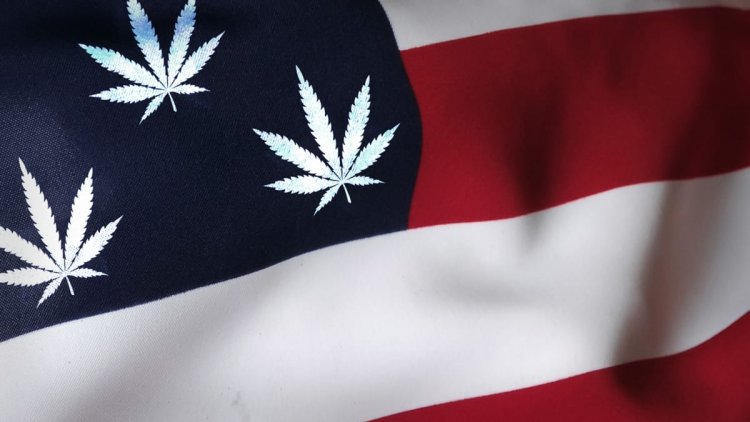 Cannabis News Week: THC-O Warning; States Making Drug Money