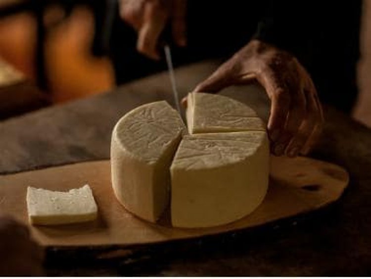Improving immunity to lowering blood pressure: 5 health benefits of cheese