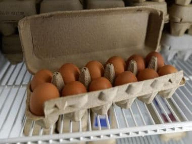 Worry Side Up: Why the cost of eggs has doubled in the US