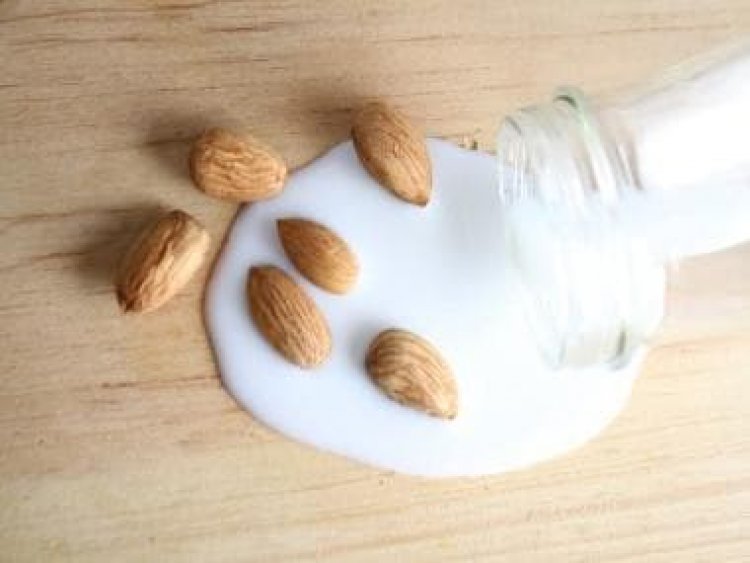 Almonds, Greek Yogurt and more: 5 healthy snacks to help you lose weight