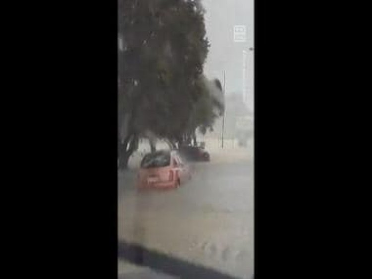 State of emergency in New Zealand's Auckland amid rains and floods; shocking video goes viral