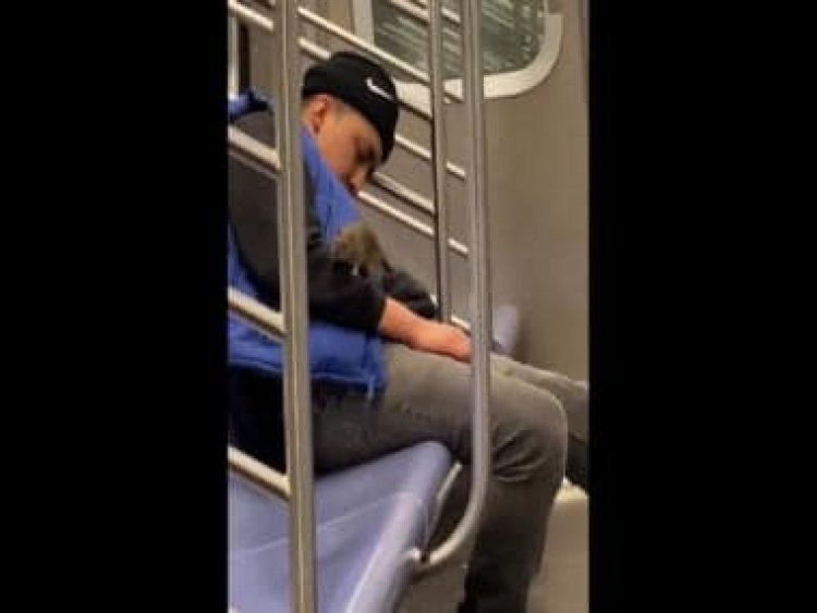 Watch: Rat crawls on sleeping man on New York subway; internet reacts