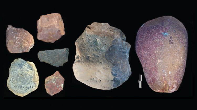 Hominids used stone tool kits to butcher animals earlier than once thought