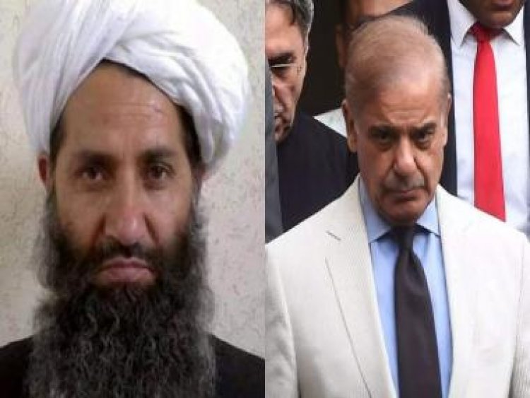 Taliban 'supporting' TTP, providing safe haven in Afghanistan against 'un-Islamic' Pakistan