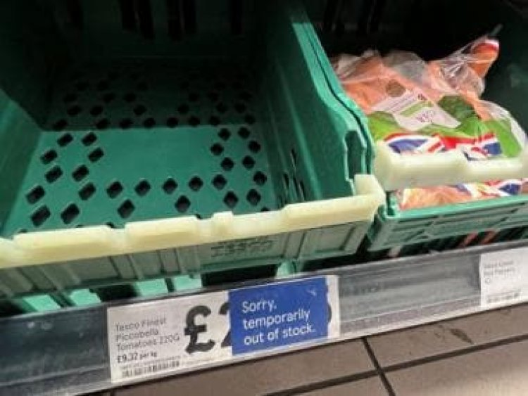 In UK, one shopper can buy only two tomatoes, two cucumbers: Why are supermarkets limiting sales of fruits, veggies?