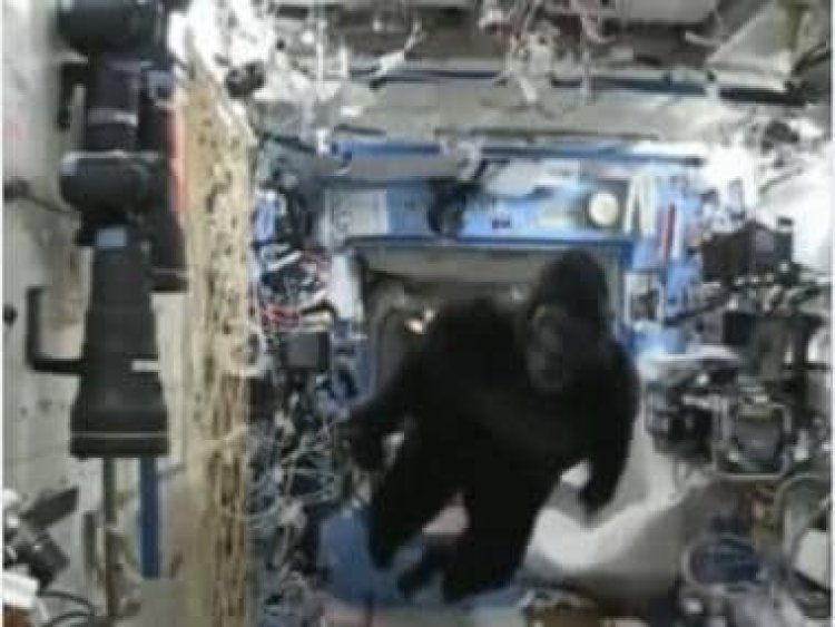 Viral video shows astronaut scaring off crew member in gorilla suit during space flight; watch
