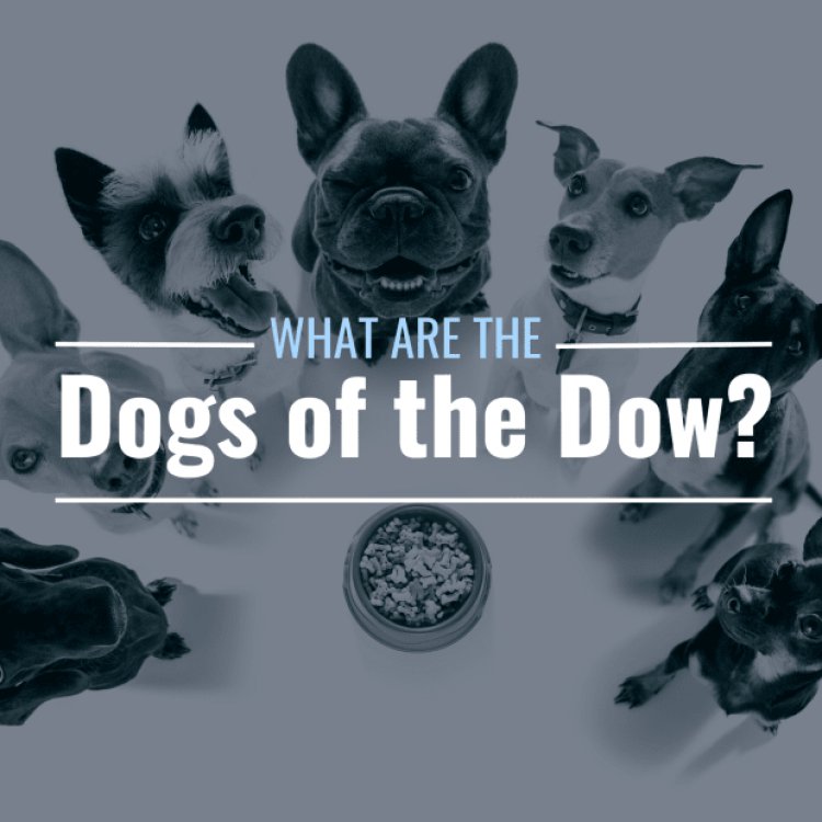 What Are the Dogs of the Dow? How Do I Invest in Them?