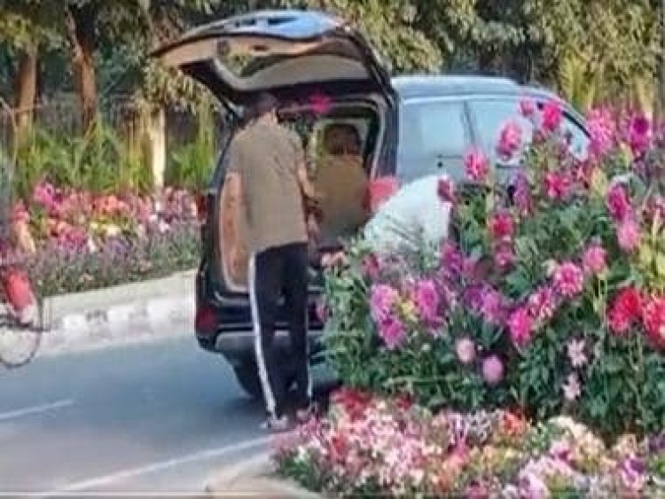 Watch: Gurgaon man comes in luxury car to steal flower pots arranged for G20 summit