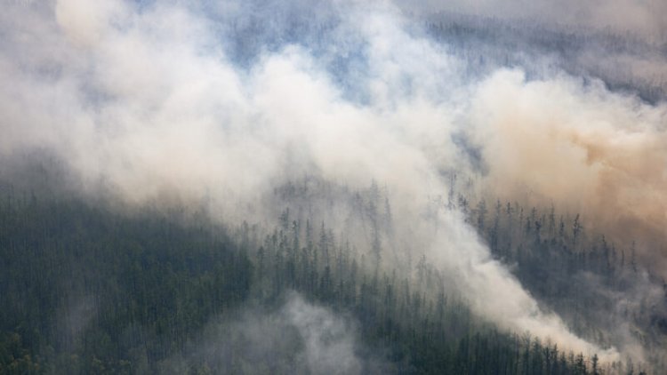 Wildfires in boreal forests released a record amount of CO2 in 2021