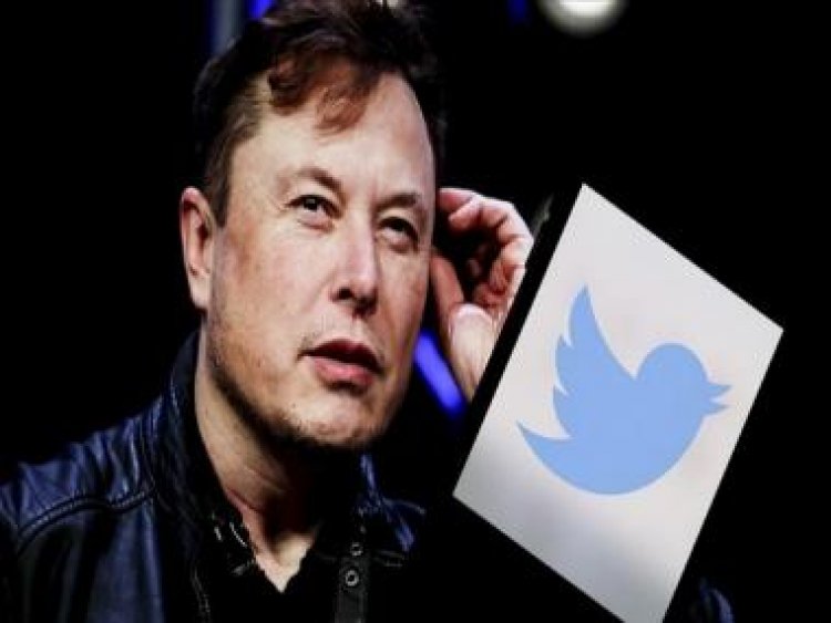Elon Musk mocks former Twitter employee who asked about his job status