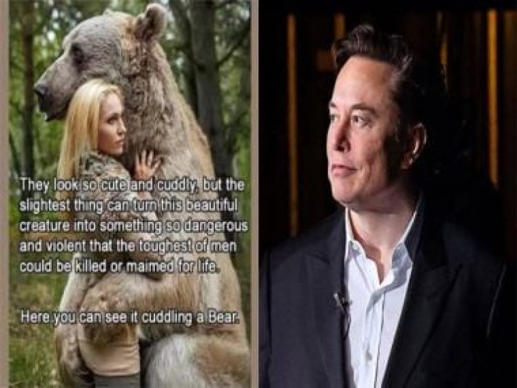 Elon Musk shares a misogynist meme of a bear hugging a woman, says 'The slightest thing can turn into someone violent'
