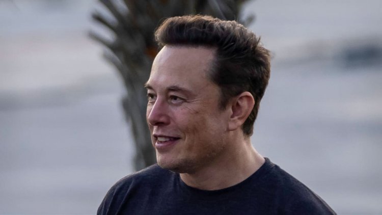 Elon Musk Mourns the Demise of America