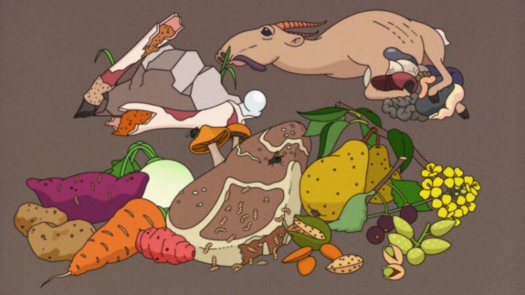 A surprising food may have been a staple of the real Paleo diet: rotten meat