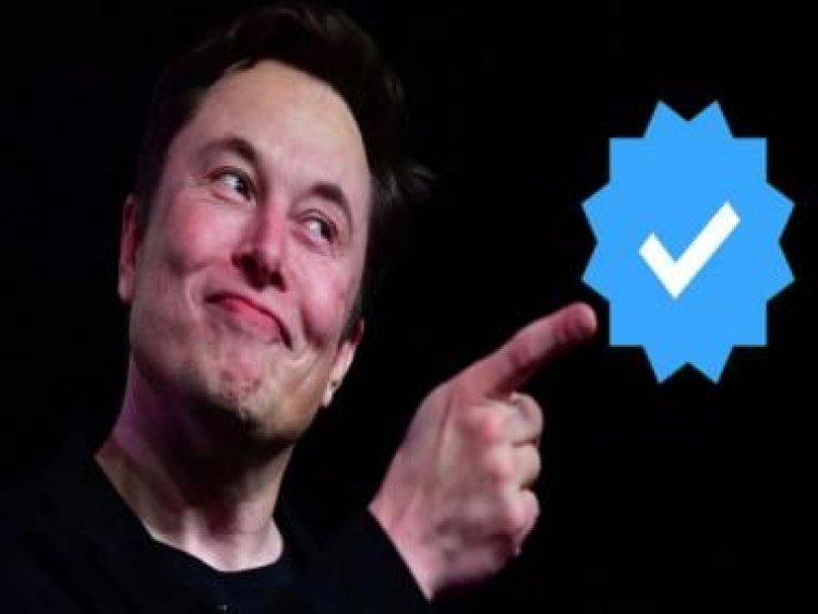 Twitter legacy blue tick: What's happening with Twitter Blue? Not even Musk knows for sure