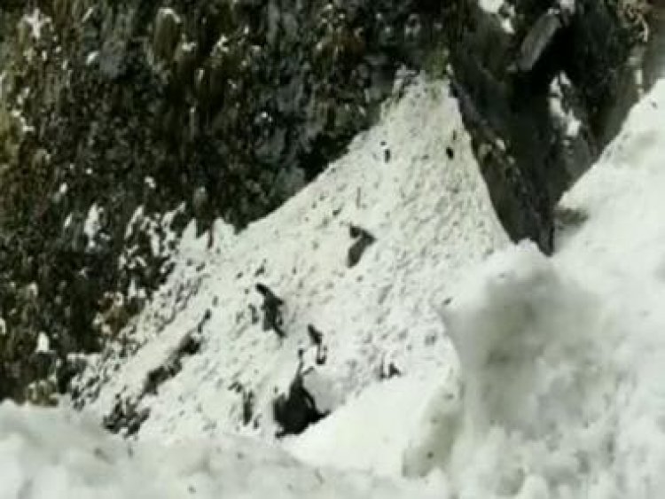 Sikkim: 7 tourists killed in avalanche in Nathu La area near India's border with China