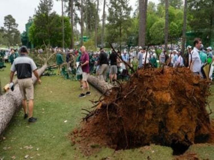 Watch: Three large trees fall near fans as storms hits Masters second round