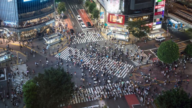 Dense crowds of pedestrians shift into surprisingly orderly lines. Math explains why